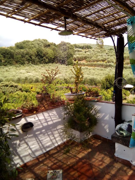 바티파리아 Masseria Sparano 빌라 외부 사진