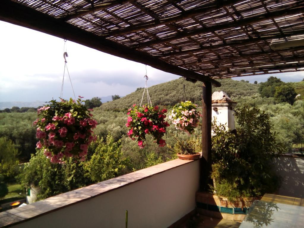 바티파리아 Masseria Sparano 빌라 외부 사진