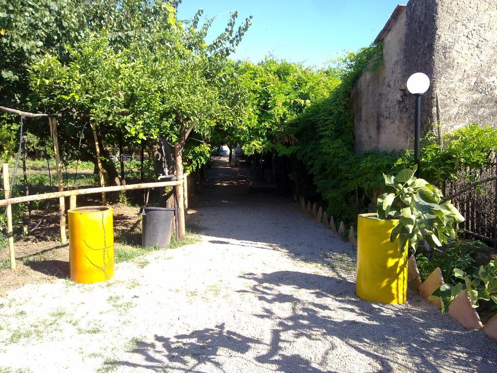 바티파리아 Masseria Sparano 빌라 외부 사진